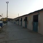 زمین چمن فوتبال