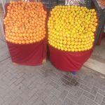 ارزانسرای میوه کوروش بایگی ارزان