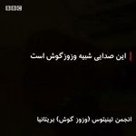 دکتر محمدرضا سلیمی