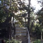 دکتر ندا آموزگار هاشمی