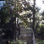 دکتر ندا آموزگار هاشمی