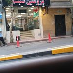 مرغ و ماهی سعادت نیا