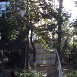 دکتر ندا آموزگار هاشمی