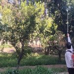 شرکت سمپاشی شیمی گستر