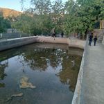 کوچ