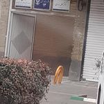دفتر اسناد رسمی 114 مشهد