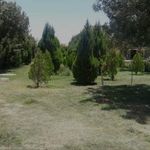 بوستان لاله