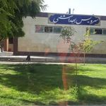 سرویس بهداشتی