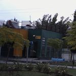کارواش صدف عیاری
