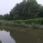 مجتمع تفریحی مرجان گستر بندر