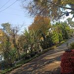 گل فروشی قصردشت
