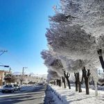 بانک ملی شعبه شهرستان بوئین و میاندشت