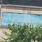 شمیم یاس