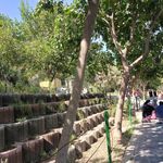 بوستان بانوان گلایل
