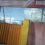 شمیم یاس