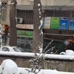 گالری آماتیس