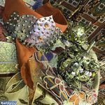 بازار ترکمن ها کلاردشت