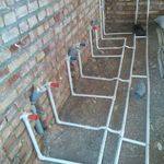 مجتبی مولائی