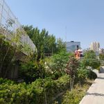 بوستان نونهالان