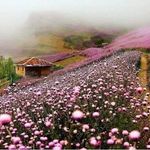 اقامتگاه بوم گردی جهانگیری