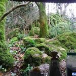 روستای سورخانی