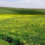 روستای خشگناب