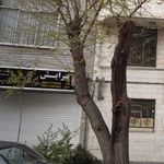 سالن زیبایی بانوان آرامیس