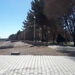 سرویس بهداشتی پارک لاله