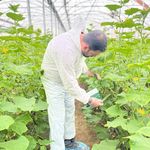 داروخانه گیاهپزشکی نوژا