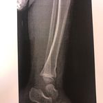 دکتر امیر داودی