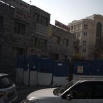 فریده بشیری گودرزی