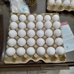 پخش تخم مرغ - کمی