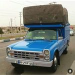 علیرضا افشون مورچگانی