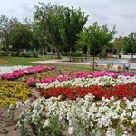 بوستان معلم
