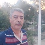 بوستان وحید