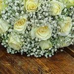 آتلیه عکاسی فیلم برداری ساقدوش