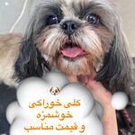 پت شاپ و آرایشگاه حیوانات مهندس گمشادزهی