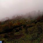 روستای مکارود