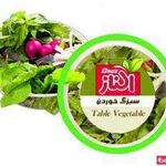 محصولات غذایی الناز