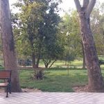 سرویس بهداشتی پارک شهر 5