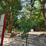 بوستان محبت