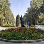 سرویس بهداشتی پارک شهر 5