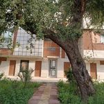 مجتمع پرنیان ۴۷