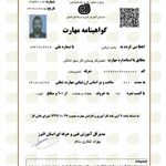 یاسر ترابی