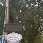 بوستان نیلوفر