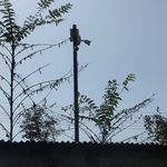 سیستم های امنیتی نعمتی