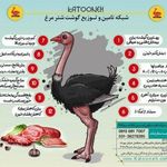 سوپر گوشت آریا(وحید جهانگیر)