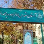 آستان مقدس امامزاده سید محمد والی