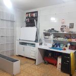 موبایل امید پخش عمده