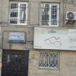 دکتر فریبا گندمی